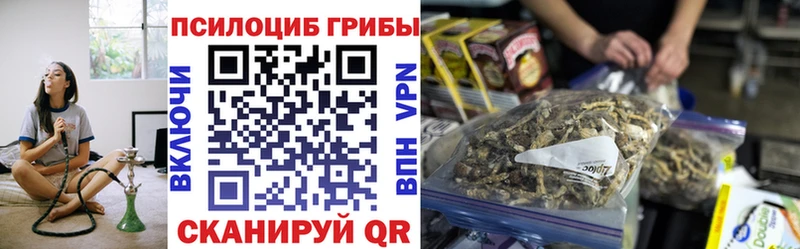 Галлюциногенные грибы мицелий  мега вход  Холмск 